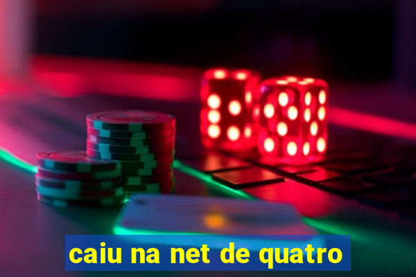 caiu na net de quatro